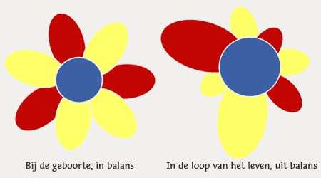 Ziekteclassificatie bloem - in en uit balans