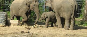 Dierentuin