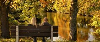 Herfst in het park