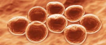 MRSA bacterie