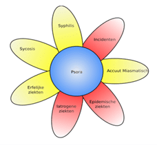 homeopathie