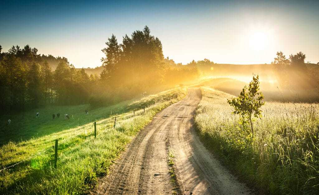 Homeopathie studeren