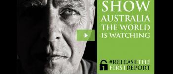 Release the first report