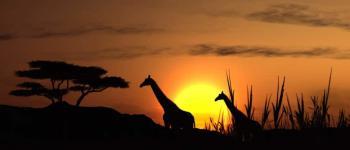 Zuid-Afrika
