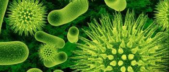 Bacteriën